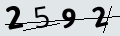 verifycode